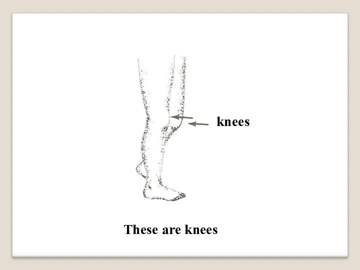 knees These are knees