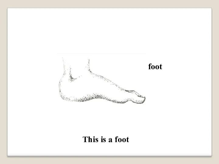 foot This is a foot