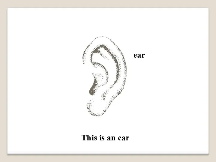 ear This is an ear