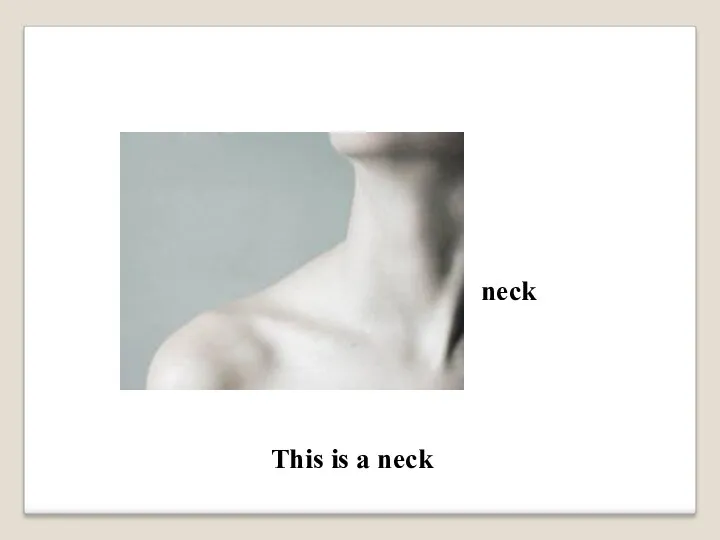 neck This is a neck