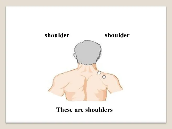 shoulder These are shoulders shoulder