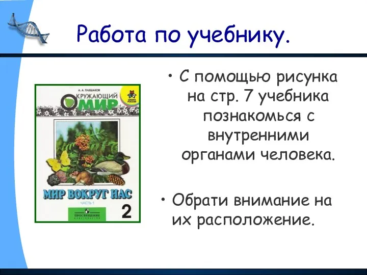 Работа по учебнику. С помощью рисунка на стр. 7 учебника