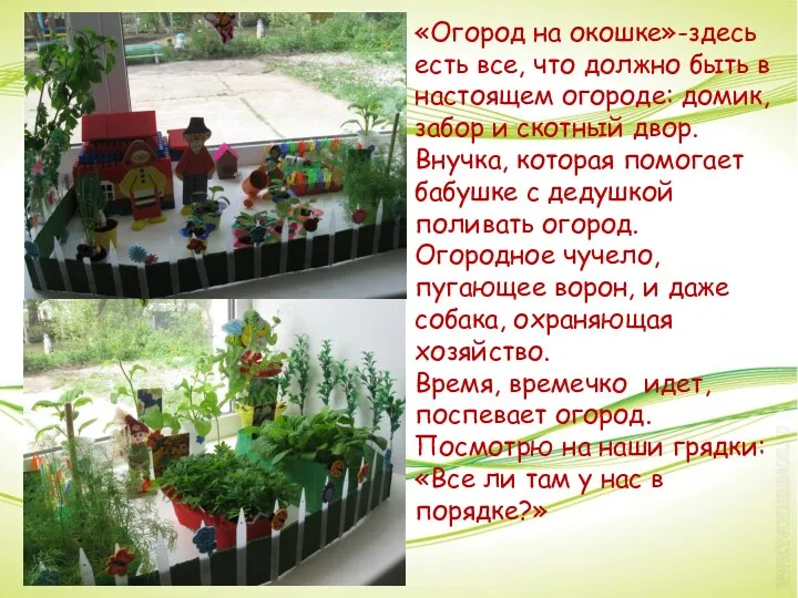 «Огород на окошке»-здесь есть все, что должно быть в настоящем огороде: домик, забор