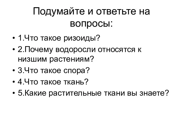 Подумайте и ответьте на вопросы: 1.Что такое ризоиды? 2.Почему водоросли