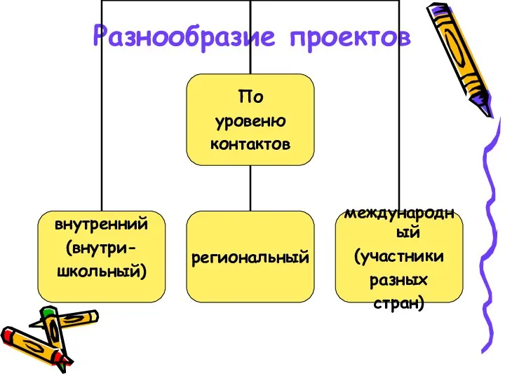 Разнообразие проектов