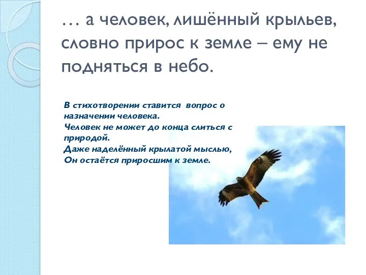 … а человек, лишённый крыльев, словно прирос к земле –