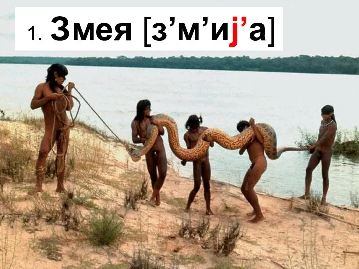 1. Змея [з’м’иj’а]