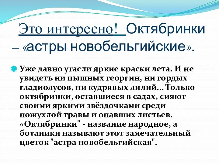 Это интересно! Октябринки – «астры новобельгийские». Уже давно угасли яркие