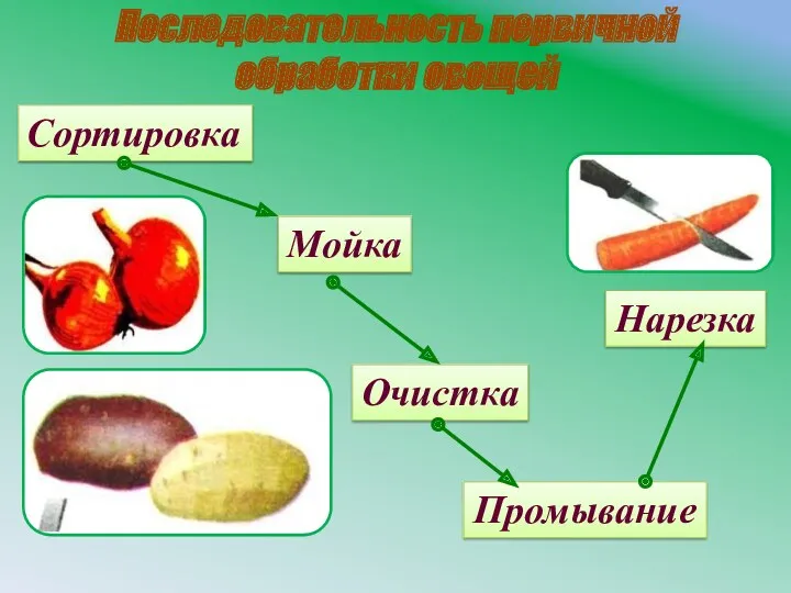 Последовательность первичной обработки овощей Сортировка Мойка Очистка Промывание Нарезка