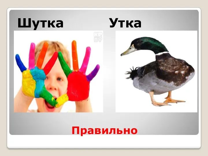 Правильно Шутка Утка