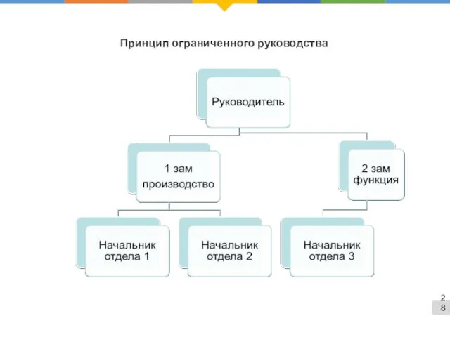 Принцип ограниченного руководства