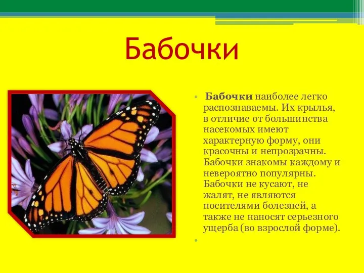 Бабочки Бабочки наиболее легко распознаваемы. Их крылья, в отличие от большинства насекомых имеют