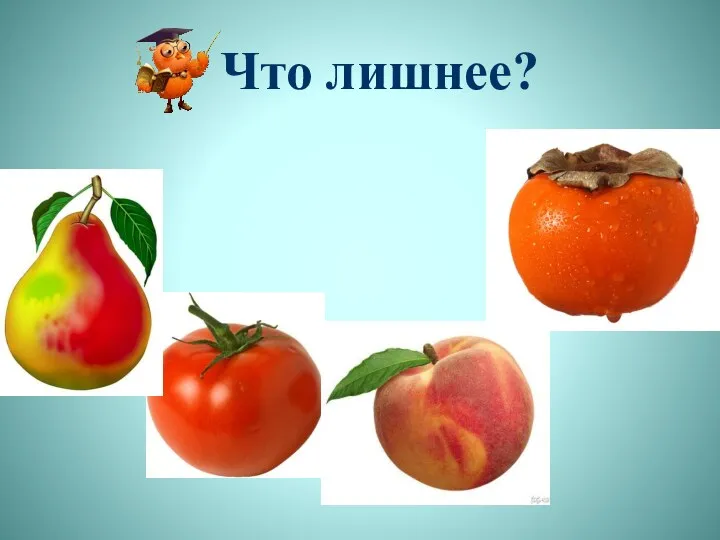 Что лишнее?