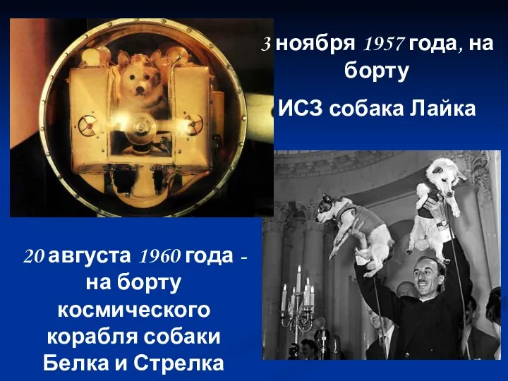 3 ноября 1957 года, на борту ИСЗ собака Лайка 20