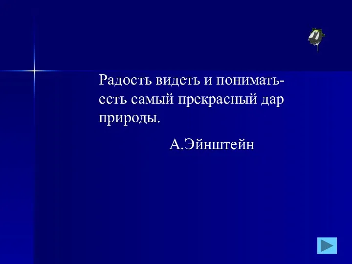 Радость видеть и понимать-есть самый прекрасный дар природы. А.Эйнштейн