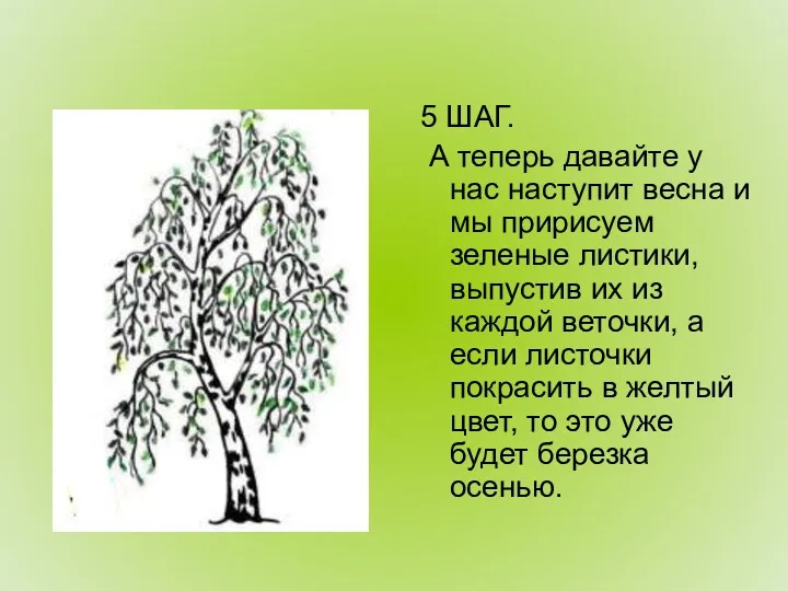 5 ШАГ. А теперь давайте у нас наступит весна и мы пририсуем зеленые