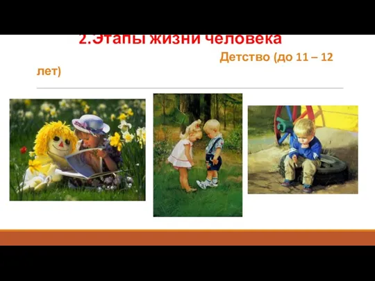2.Этапы жизни человека Детство (до 11 – 12 лет)