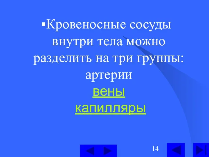 Кровеносные сосуды внутри тела можно разделить на три группы: артерии вены капилляры