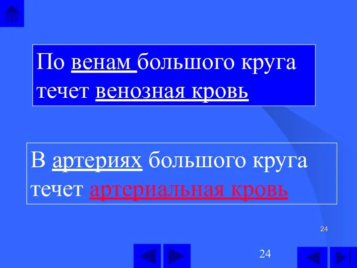 В артериях большого круга течет артериальная кровь По венам большого круга течет венозная кровь