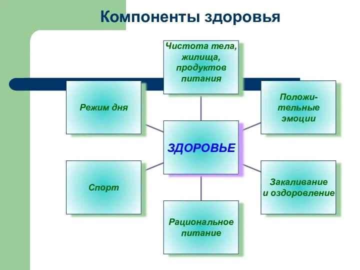 Компоненты здоровья