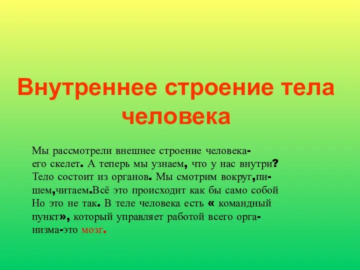 Внутреннее строение тела человека Мы рассмотрели внешнее строение человека- его