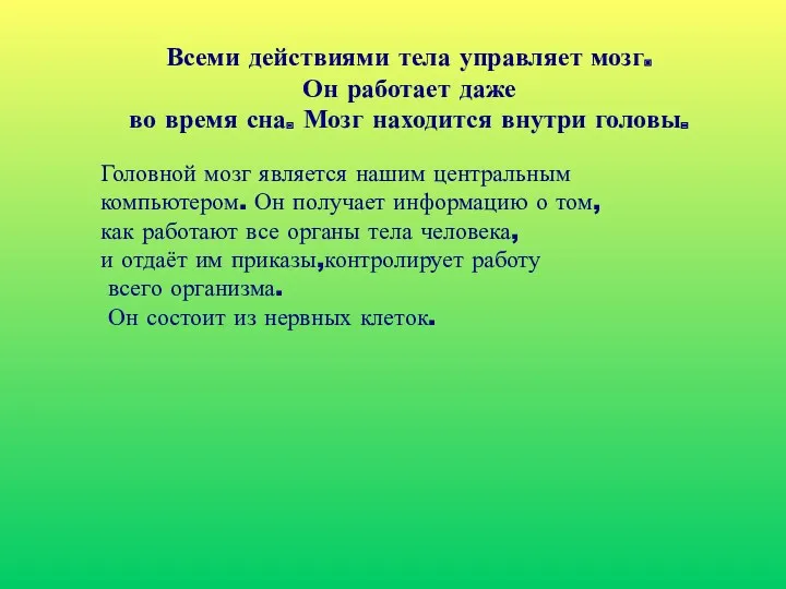 Всеми действиями тела управляет мозг. Он работает даже во время