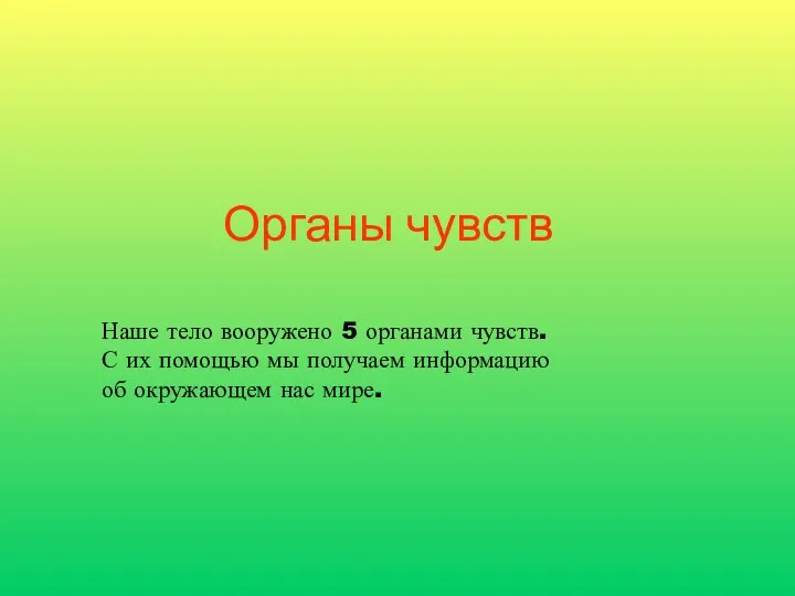 Органы чувств Наше тело вооружено 5 органами чувств. С их