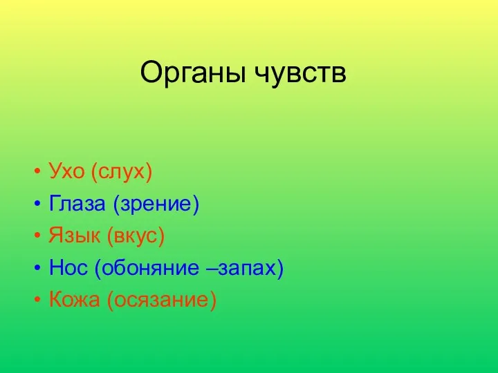 Органы чувств Ухо (слух) Глаза (зрение) Язык (вкус) Нос (обоняние –запах) Кожа (осязание)