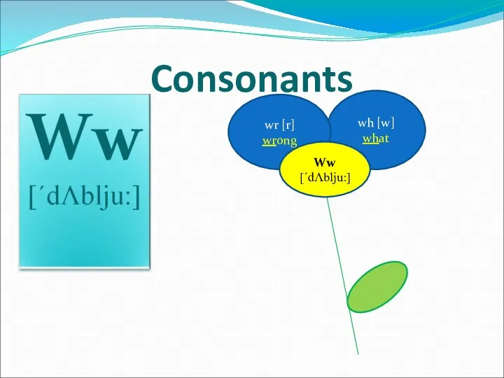 wh [w] what wr [r] wrong Consonants Ww [´dΛblju:]