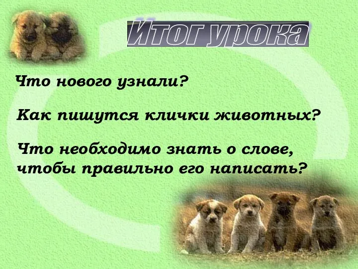 Итог урока Что нового узнали? Как пишутся клички животных? Что