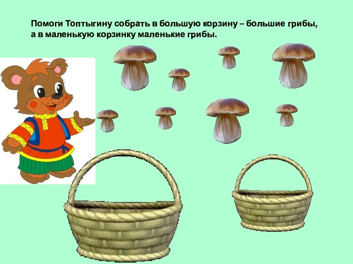 Помоги Топтыгину собрать в большую корзину – большие грибы, а в маленькую корзинку маленькие грибы.