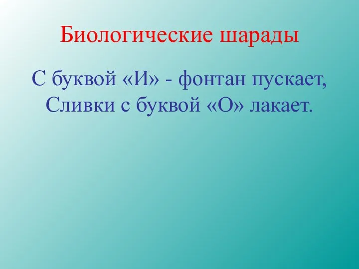 Биологические шарады С буквой «И» - фонтан пускает, Сливки с буквой «О» лакает.