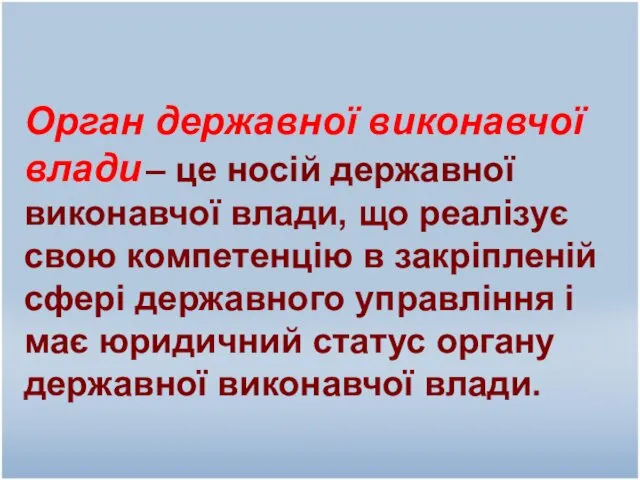 Орган державної виконавчої влади – це носій державної виконавчої влади,