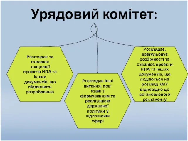 Урядовий комітет: Розглядає та схвалює концепції проектів НПА та інших