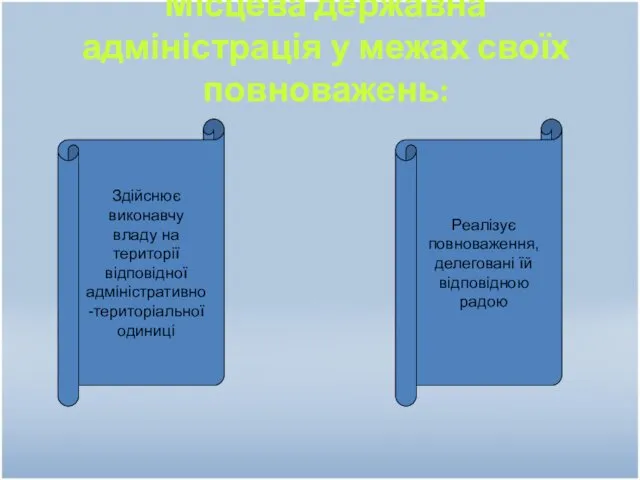 Місцева державна адміністрація у межах своїх повноважень: Здійснює виконавчу владу