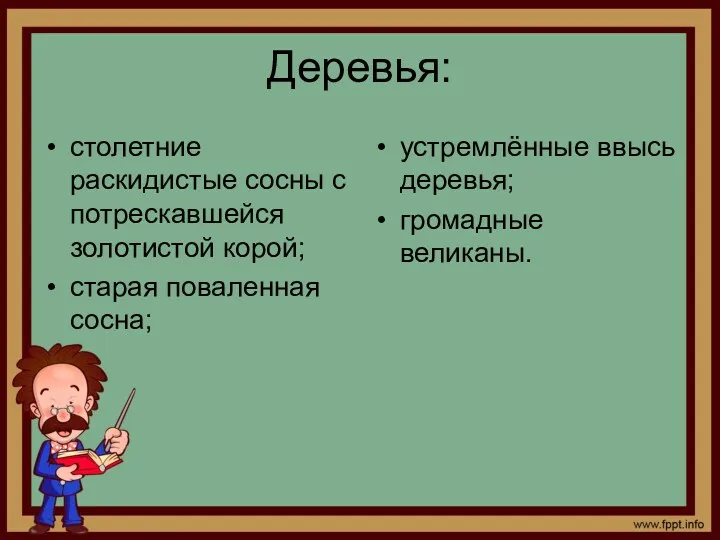 Деревья: столетние раскидистые сосны с потрескавшейся золотистой корой; старая поваленная сосна; устремлённые ввысь деревья; громадные великаны.