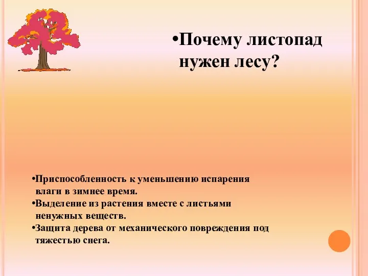 Почему листопад нужен лесу? Приспособленность к уменьшению испарения влаги в