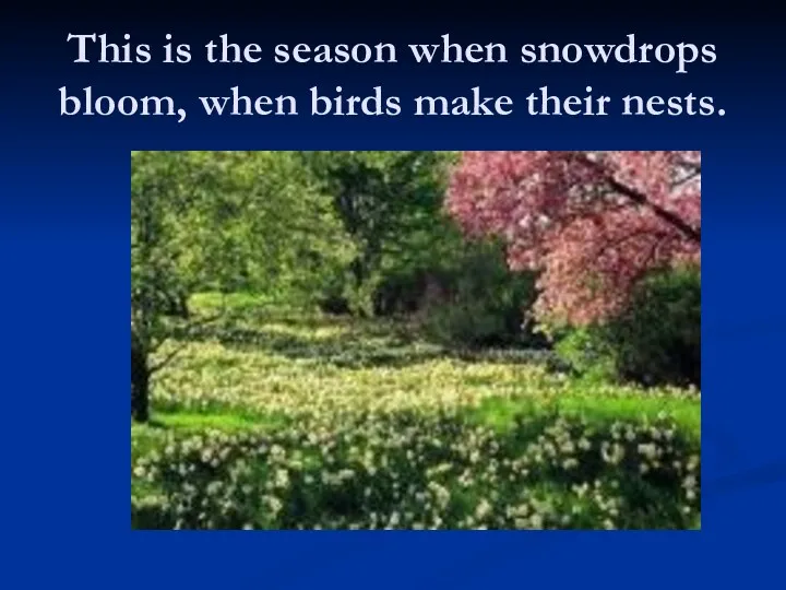 This is the season when snowdrops bloom, when birds make their nests.