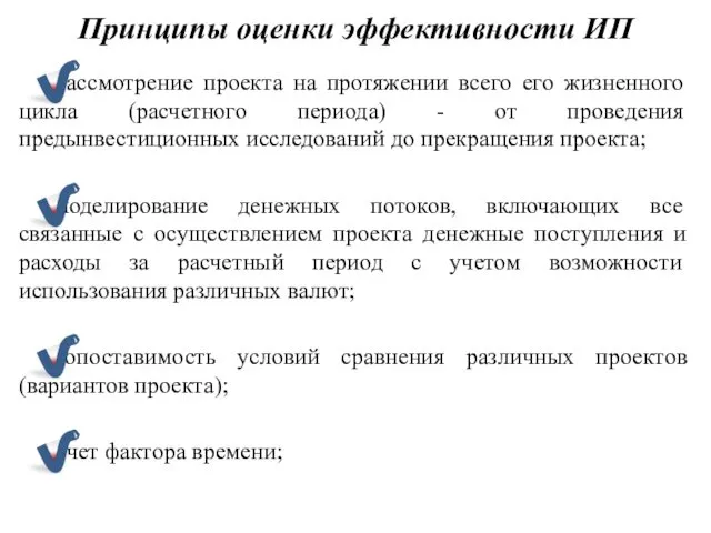 Принципы оценки эффективности ИП рассмотрение проекта на протяжении всего его