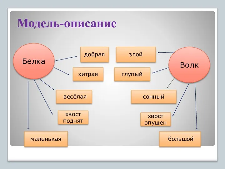 Модель-описание Белка Волк хитрая глупый весёлая сонный хвост поднят хвост опущен добрая злой маленькая большой