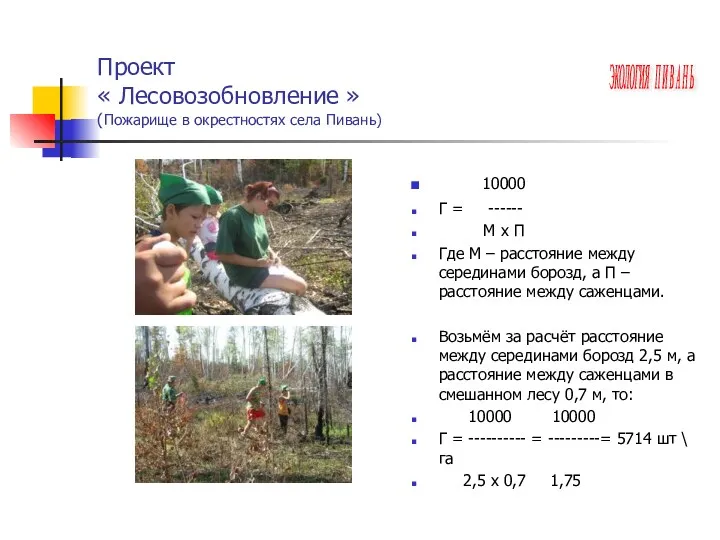 Проект « Лесовозобновление » (Пожарище в окрестностях села Пивань) 10000