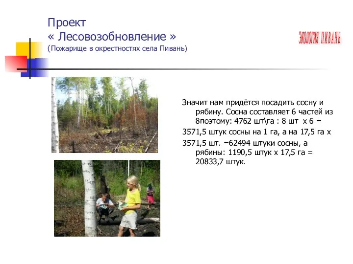 Проект « Лесовозобновление » (Пожарище в окрестностях села Пивань) Значит