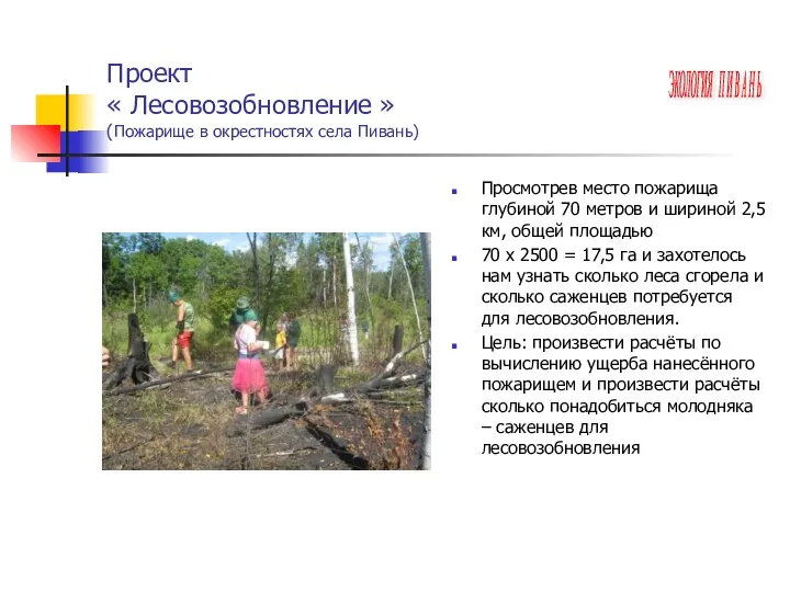 Проект « Лесовозобновление » (Пожарище в окрестностях села Пивань) Просмотрев