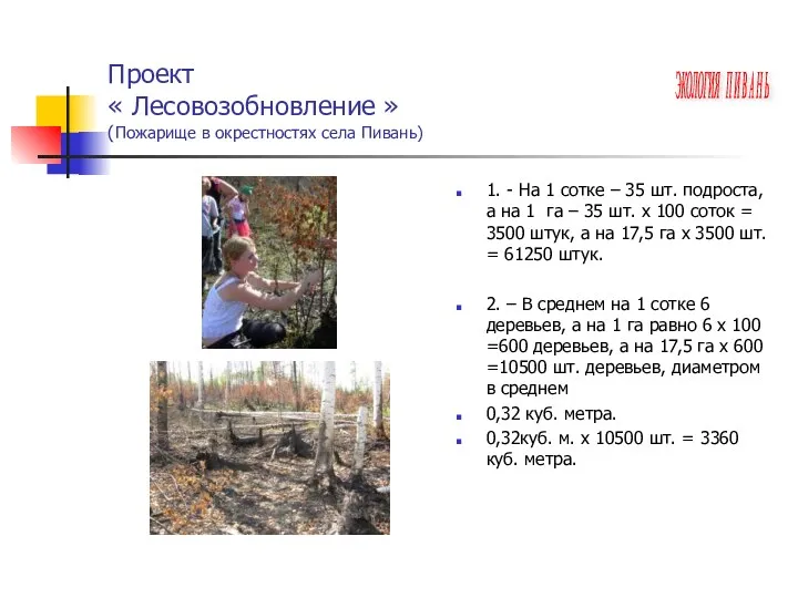 Проект « Лесовозобновление » (Пожарище в окрестностях села Пивань) 1.