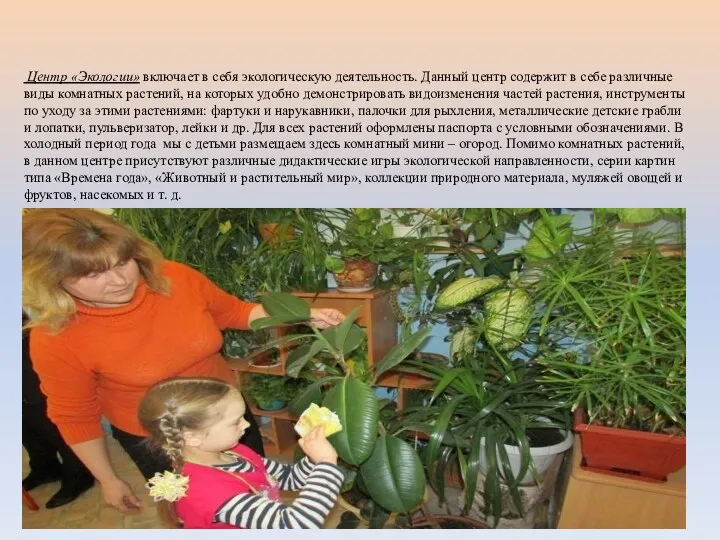 Центр «Экологии» включает в себя экологическую деятельность. Данный центр содержит