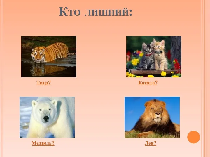 Кто лишний: Котята? Тигр? Лев? Медведь?