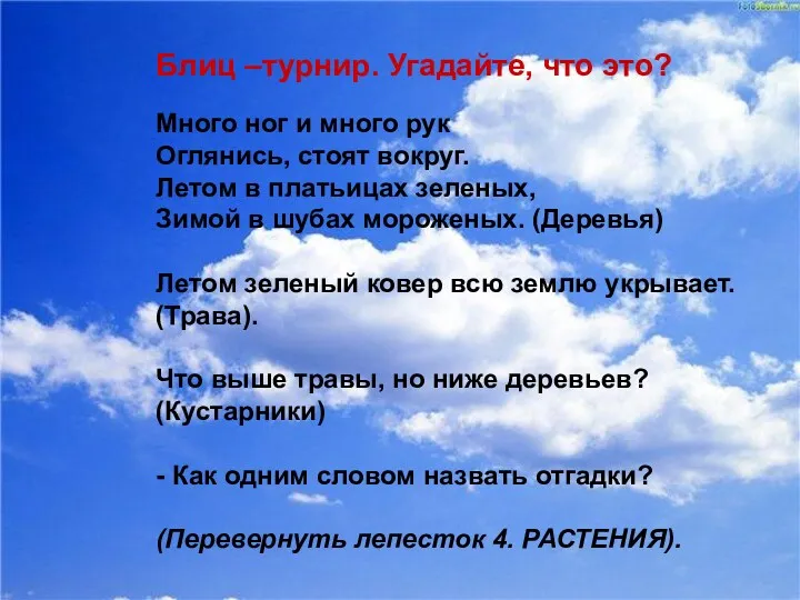 Блиц –турнир. Угадайте, что это? Много ног и много рук