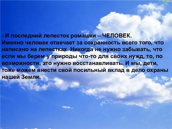 - И последний лепесток ромашки – ЧЕЛОВЕК. Именно человек отвечает