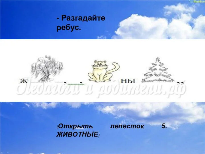 - Разгадайте ребус. - Разгадайте ребус. (Открыть лепесток 5. ЖИВОТНЫЕ)