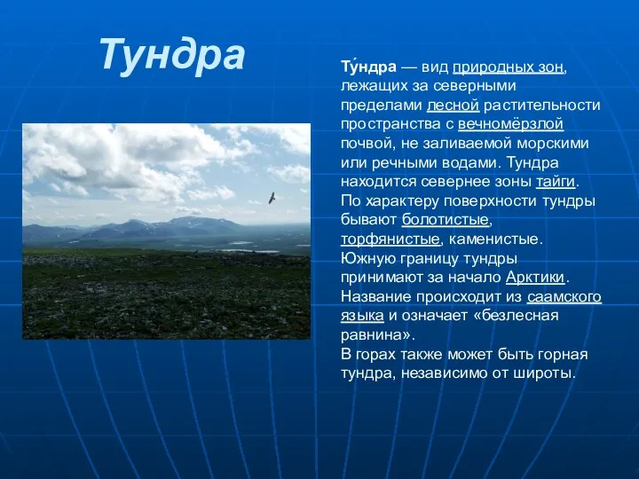 Тундра Ту́ндра — вид природных зон, лежащих за северными пределами